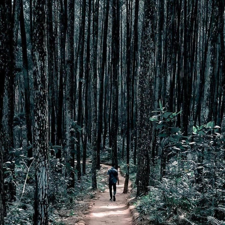 Seribu Batu Songgo Langit Resort & Camp Bantul Esterno foto