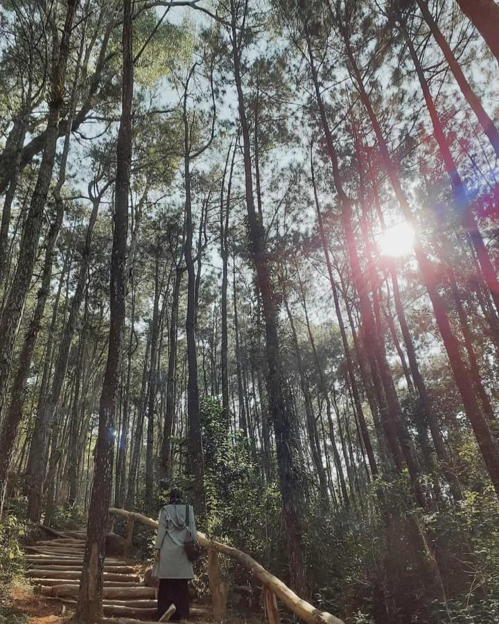 Seribu Batu Songgo Langit Resort & Camp Bantul Esterno foto